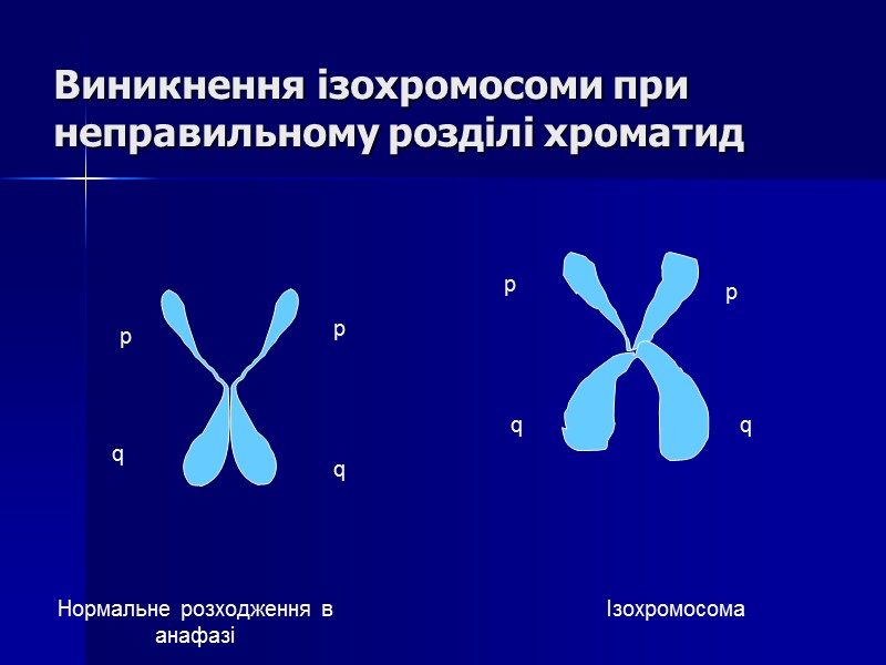 Виникнення ізохромосоми при неправильному розділі хроматид p q p q p q p q